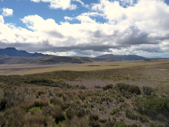 Nationalpark Cotopaxi