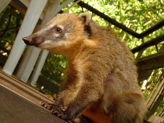 ...ich *hust*...bin schwach...und sooo hungrig....