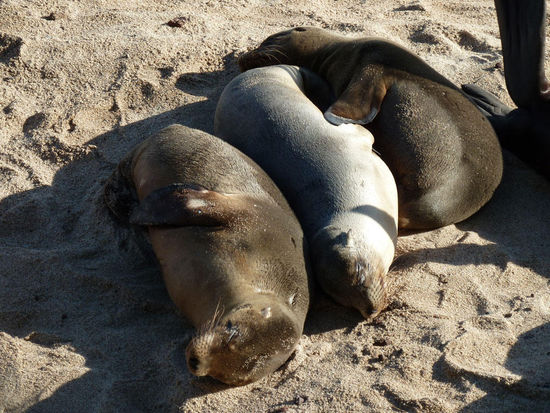 so und jetzt rücken wir mal alle ein bissl zusammen....
