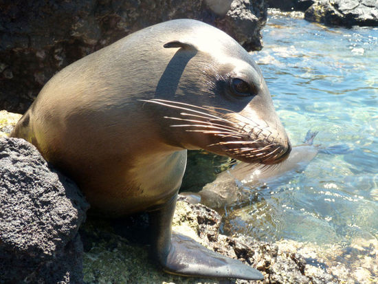 .....ey,....siehst du die amerikanischen Schülerinnen da drüben?,.....die sind ja sooo laut.....
