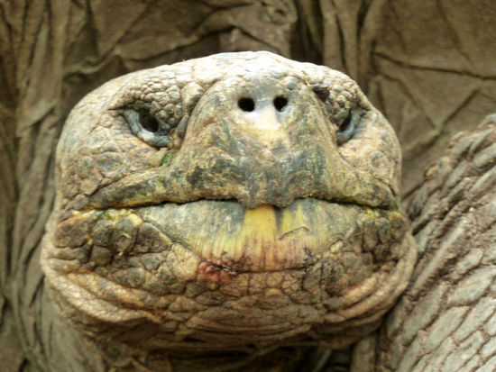 .........Morla:"Es spielt zwar keine Rolle, doch es ist so."