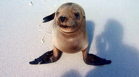 "Ohhhhhh, Ahhhhh,....mei is des Süüüüüß"