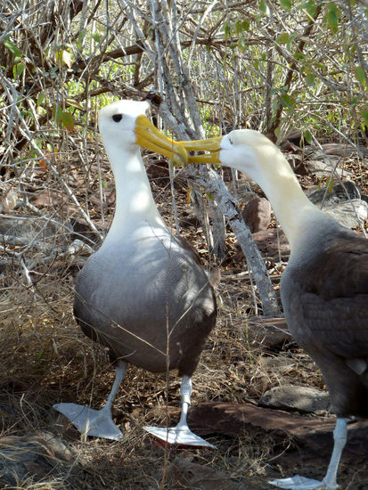 ...entschuldige,...kennen wir uns nicht?....
