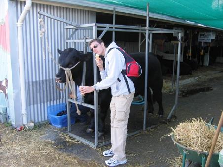 Auf der Perth Royal Show. Na, wo ist das Rindvieh?
