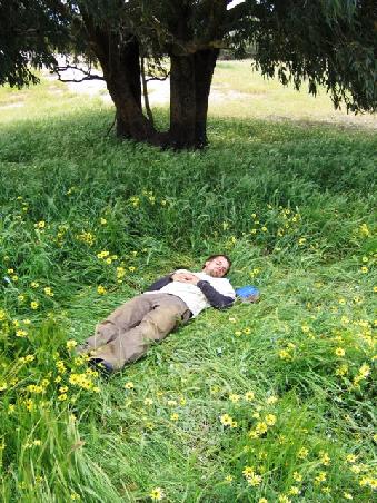 ...Thomas beim Arbeiten!