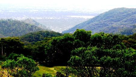 hinter den Bergen erstreckt sich Adelaide (Blick von den Adelaide hills)