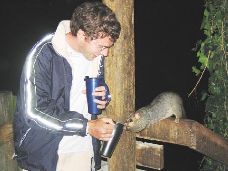 Thomas sein Tee war durchaus begehrt bei den Tierchen.