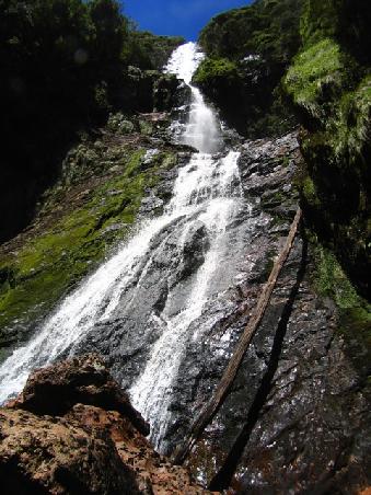 Der Montezuma Wassefall ist mit 104m einer der hoechsten Tasmaniens!
