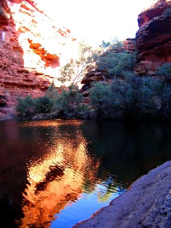 Eines von vielen Wasserlöchern im King Canyon!