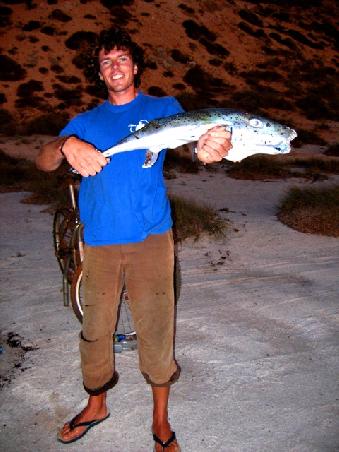 Ein 82cm großer, äußerst häßlicher aber doch sehr schmackhafter Fisch.
