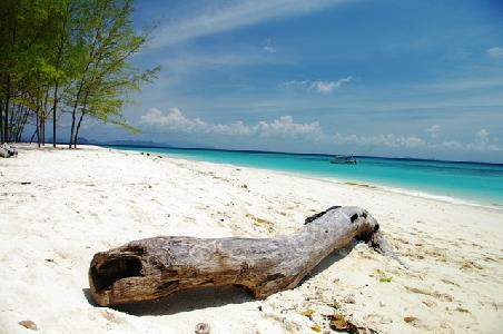 Bamboo Island I