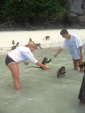 Monkey Beach