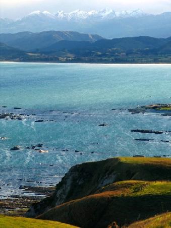 Grüne Schafweiden direkt am Meer und dahinter türmen sich die schneebedeckten Berge auf! Das ist Neuseeland!