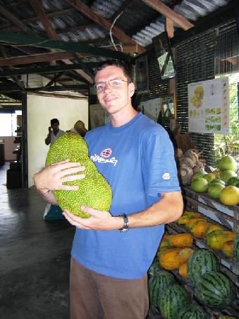 Jackfruit Baby