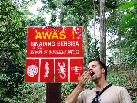 warnings for the KL jungle