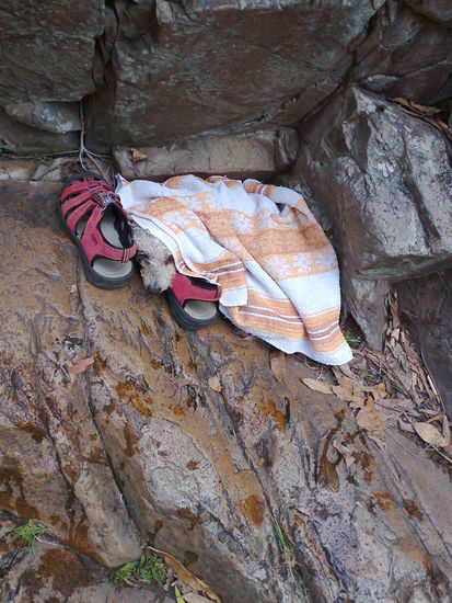 Finde den Hund auf dem Bild (ein kleiner Pudelmix, der den Hausbesitzern gehört - sehr süßer hund : ))