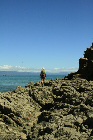 Bei der Wanderung im Abel Tasman National Park - Südinsel