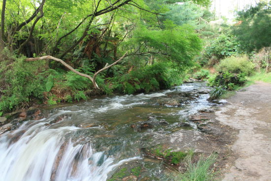 Der Schwefelfluss - Kerosine Creek - Nordinsel