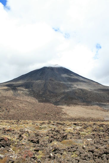 Blick auf den Ngauruhoe - auch im Togariro National Park