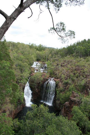 Die Florence Falls im Litchfield National Park - Dort konnte man gut schwimmen - war auch voller Leute unter den Bueschen dort - schade eigentlich