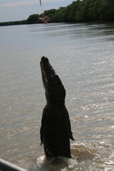 jetzt weiss ich warum sie keine schwimmwesten an bord haben...