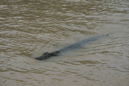 hier wuerde ich wirklich nicht gerne schwimmen gehen