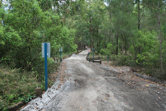 Die "Straßen" für die Autos, die Fußwege waren dagegen zwar nicht so hügelig, dafür aber sehr schmal und total zugewachsen