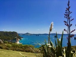 Startpunkt Walkway zu Cathedral Cove
