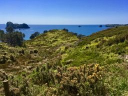 Auf dem Weg zum Cathedral Cove