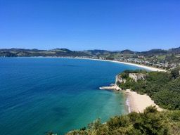 Blick vom Shakespeare Cliff Lookout auf Lonely Bay & Cooks Beach