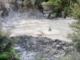 Mud Pool