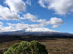 Mt. Ruapehu