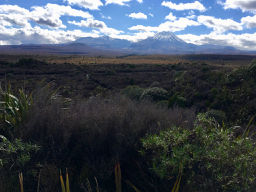 Mt. Tongariro & Mt. Ngauruhoe