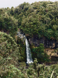 Dawson Falls