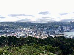 Wellington, Blick vom Mt. Victoria