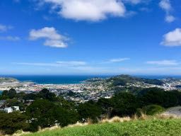 Wellington, Blick vom Mt. Victoria