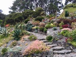 Botanischer Garten, Wellington
