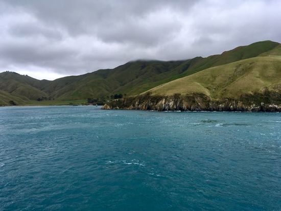 Fährüberfahrt, Marlborough Sound