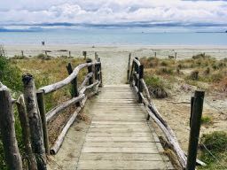 Strand Nelson