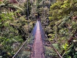 Hängebrücke, Abel Tasman NP