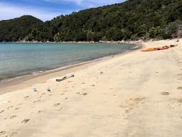 Anchorage Bay, Abel Tasman NP