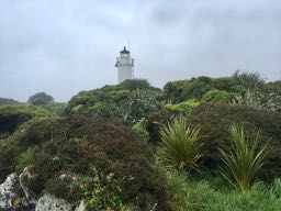 Cape Foulwind
