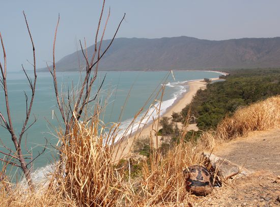 Kennt ihr den Film " Verschollen " ? mit Tom Hanks?.....
Darf ich vorstellen: Der Zwillingsbruder von:" WILSON "
(-ist ein nettes Kerlchen...bissl schweigsam...is bissle hohl-hat´n Hirn wie ne Kokosnuss ...aber sonst gar nicht so übel  )
(@Facebook: colin wilson)