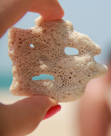 der ganze Strand besteht aus abgestorbenen Korallen