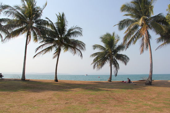 unser Lieblingsplatz in Port Douglas