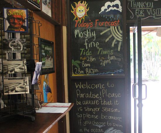 Juhu Regenwald ohne Regen!