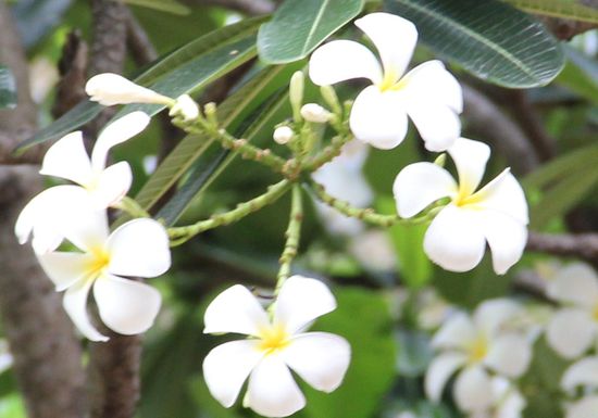 Die riechen sooooo gut!