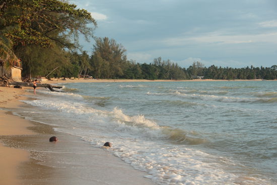 zwei einsame gestrandete Kokosnüsse...irgentwo im Nirgentwo