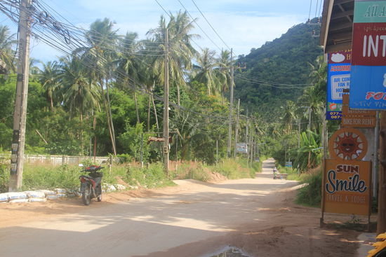 auf Koh Tao
