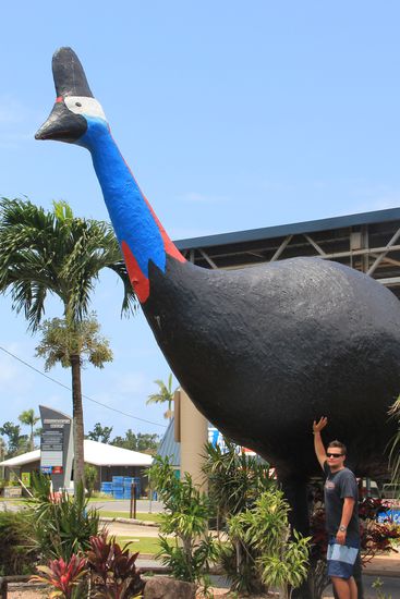 "Big Cassowarry"[k[/k]